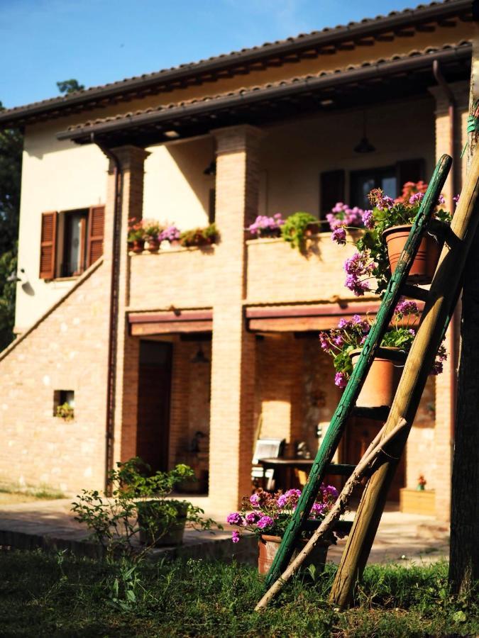 Arcadia Villa Spello Eksteriør billede