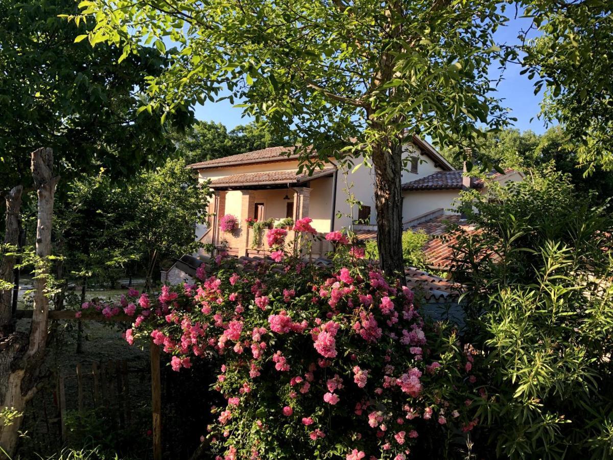 Arcadia Villa Spello Eksteriør billede
